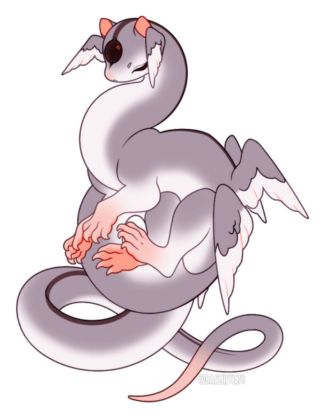 Sugar Glider Natbaktera